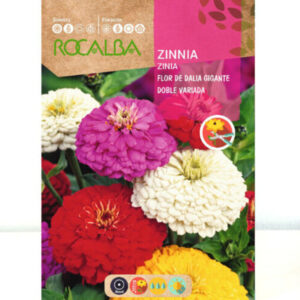 ZINIA FLOR DE DALIA GIGANTE SOBRE 6 GR