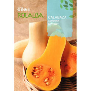 CALABAZA ABOBORA ZAPALLO BUTTERNUT WALTHAM 3 GR