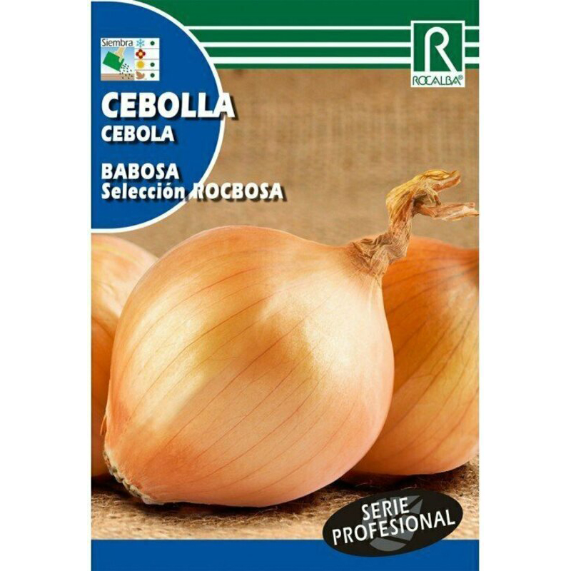CEBOLLA BABOSA SELECCIÓN ROCBOSA 4 GR Cebolla Babosa Selección Rocbosa 4 Gr