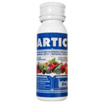 Artic -Jed- 5 Cc
