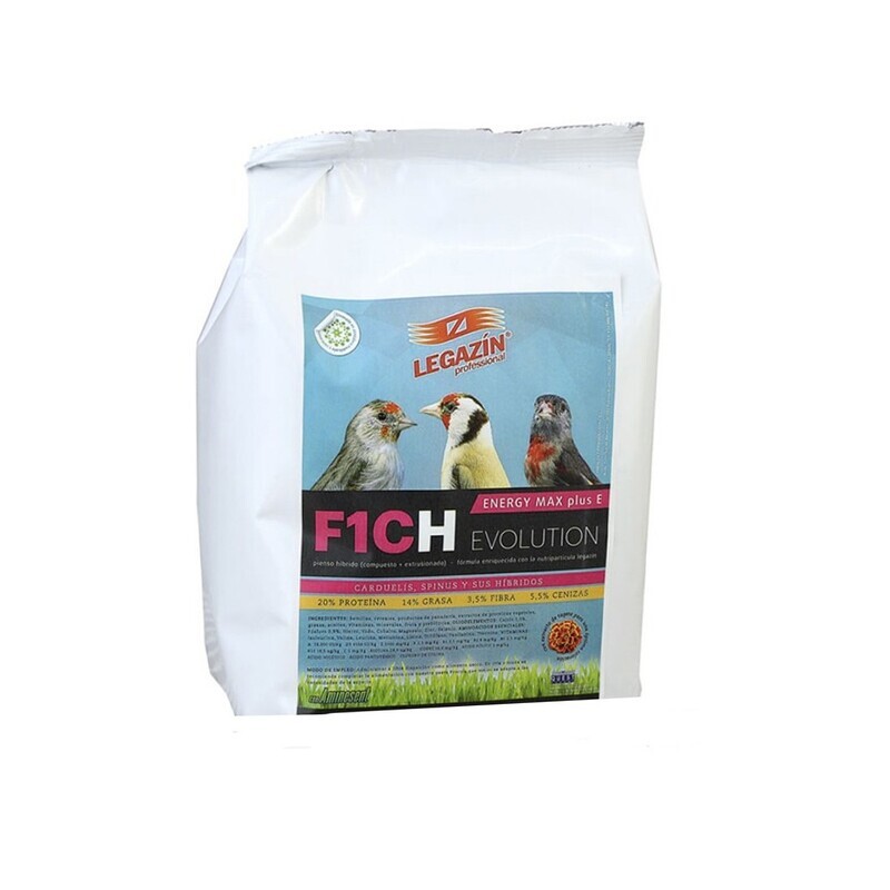 F1CH ENERGY MAX PLUS E EVOLUTION F1Ch Energy Max Plus E Evolution