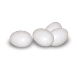 HUEVOS FALSOS GALLINAS