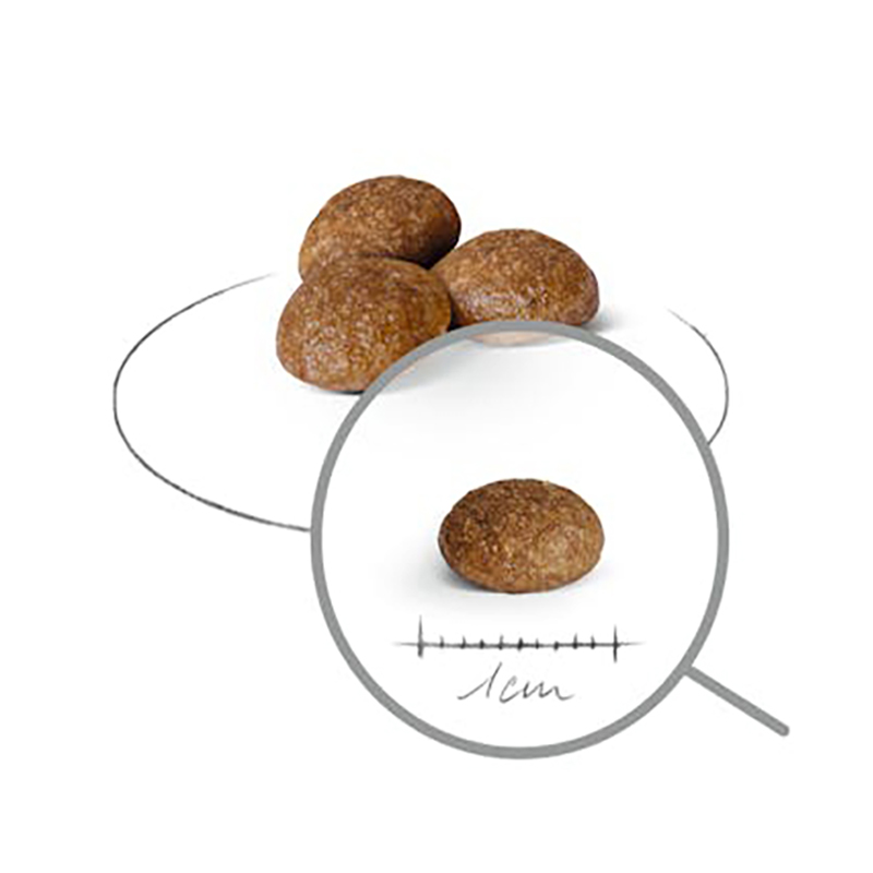 X SMALL ADULT +8 YEARS 1,5 KG 5 Kg