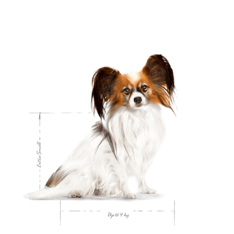 X SMALL ADULT +8 YEARS 1,5 KG X Small Adult +8 Years 1