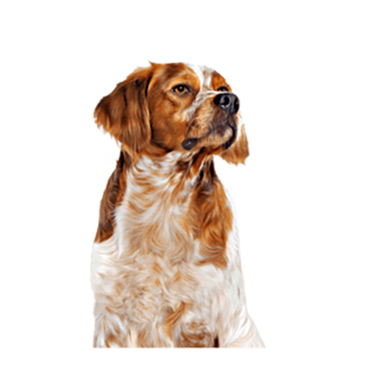 MEDIUM ADULT SOBRE 140 GR. Medium Adult Sobre 140 Gr.