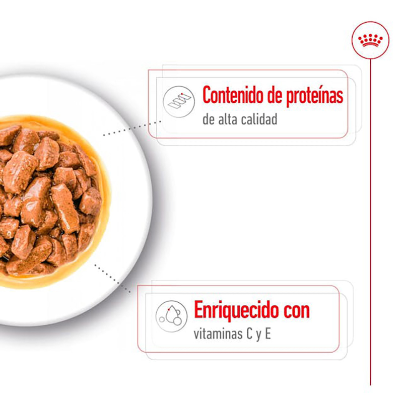 MEDIUM ADULT SOBRE 140 GR. Medium Adult Sobre 140 Gr.