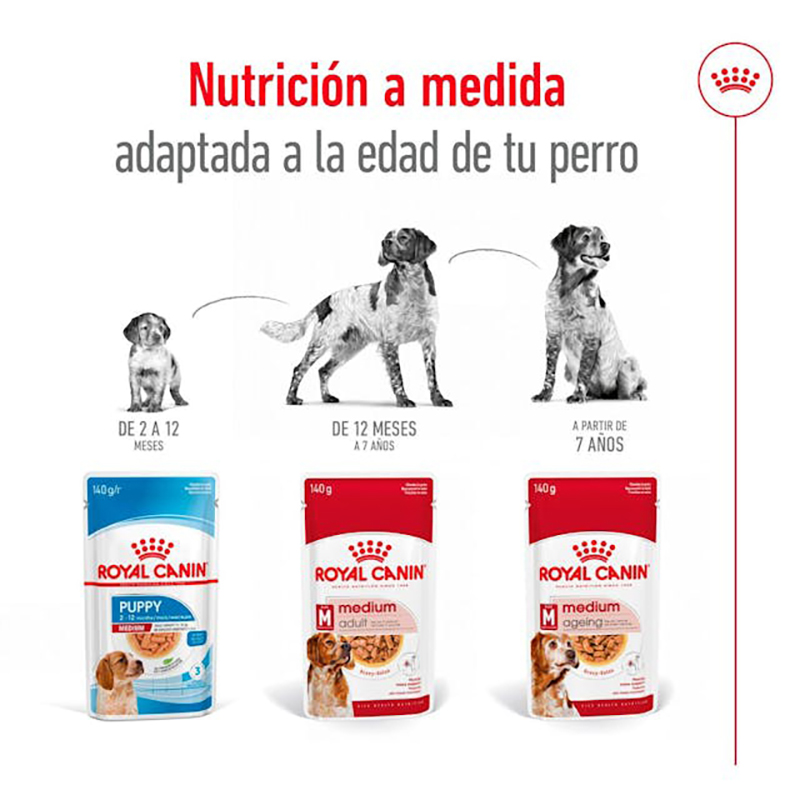 MEDIUM ADULT SOBRE 140 GR. Medium Adult Sobre 140 Gr.