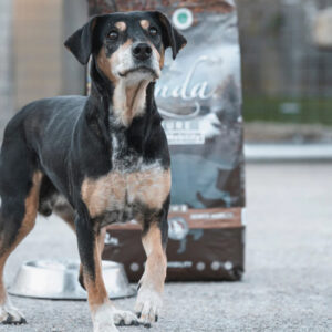 LENDA NATURE MOBILITY SENIOR GRAIN FREE 12 KG