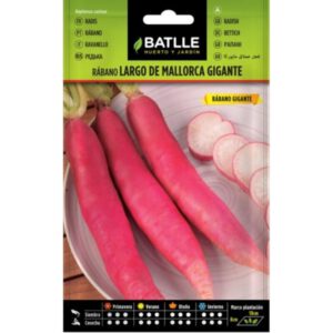 RÁBANO LARGO DE MALLORCA GIGANTE SOBRE 15 GR
