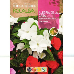 ALEGRÍA DE LA CASA SEMI ENANA SOBRE 0