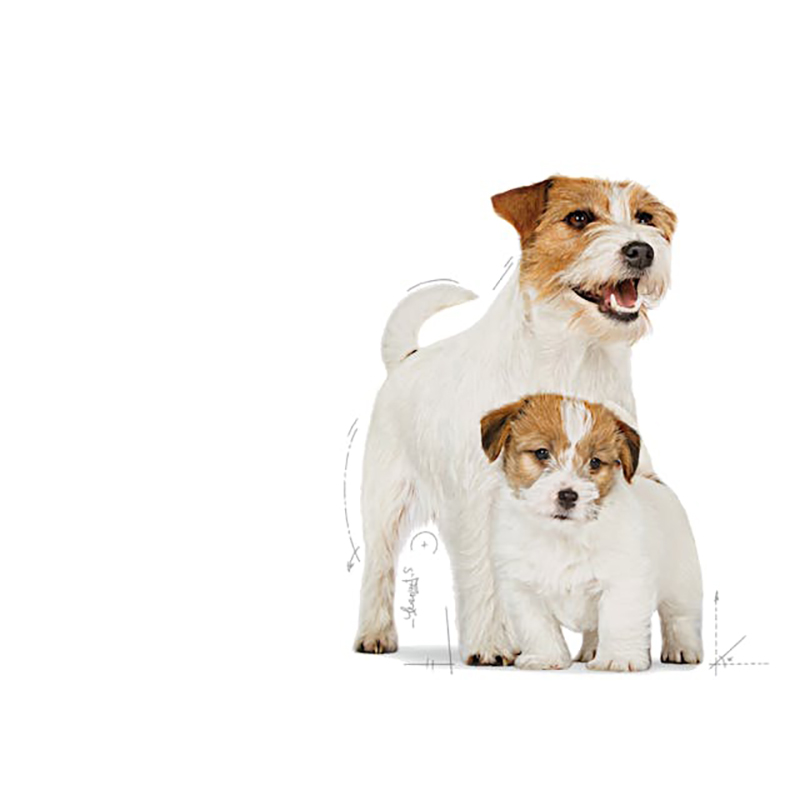 MINI STARTER MOTHER & BABYDOG 8 KG Mini Starter Mother &Amp; Babydog 8 Kg - Imagen 3