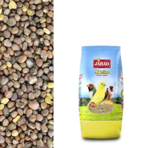 Jarad Rábano Semillas 1 kg