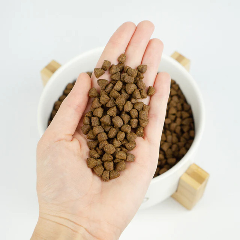 Lenda Adult Light Sterilized Grain Free para gatos 2 kg Lenda Adult Light Sterilized Grain Free Para Gatos 2 Kg - Imagen 4