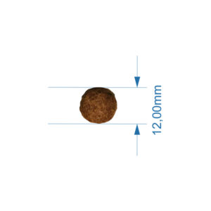 20231005020-1