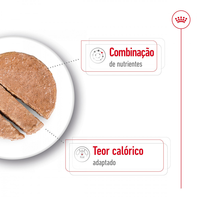Royal Canin Mini Adult Ageing Mousse para perros, lata de 195 g Royal Canin Mini Adult Ageing Mousse Para Perros, Lata De 195 G - Imagen 3