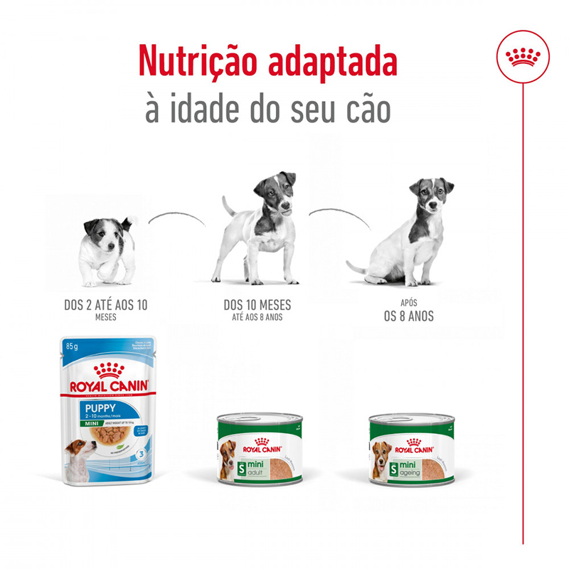 Royal Canin Mini Adult Ageing Mousse para perros, lata de 195 g Royal Canin Mini Adult Ageing Mousse Para Perros, Lata De 195 G - Imagen 4