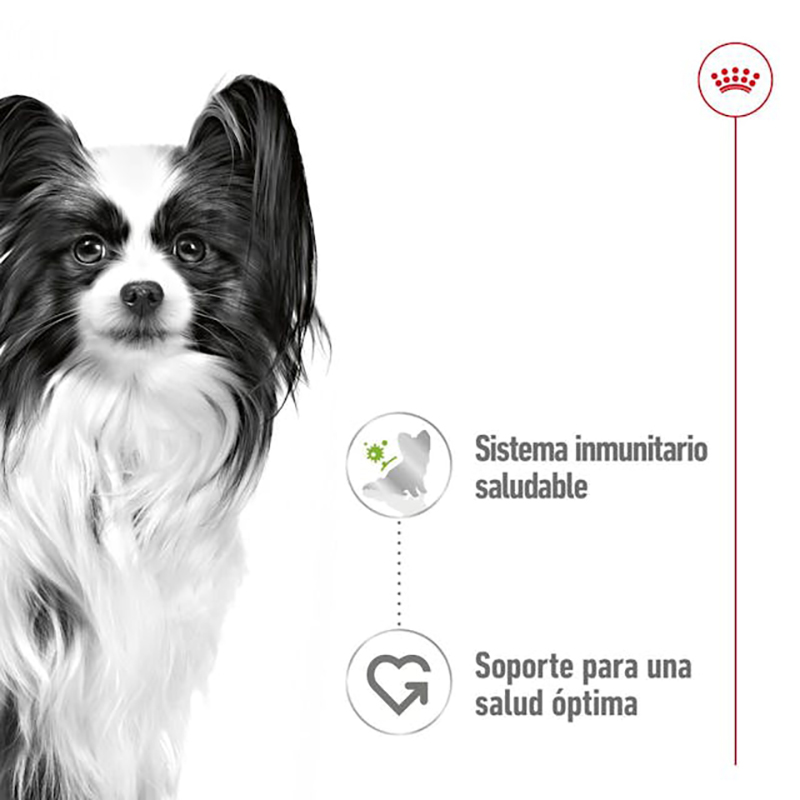 Royal Canin X Small Adult para perros, sobre de 85 g Royal Canin X Small Adult Para Perros, Sobre De 85 G - Imagen 5