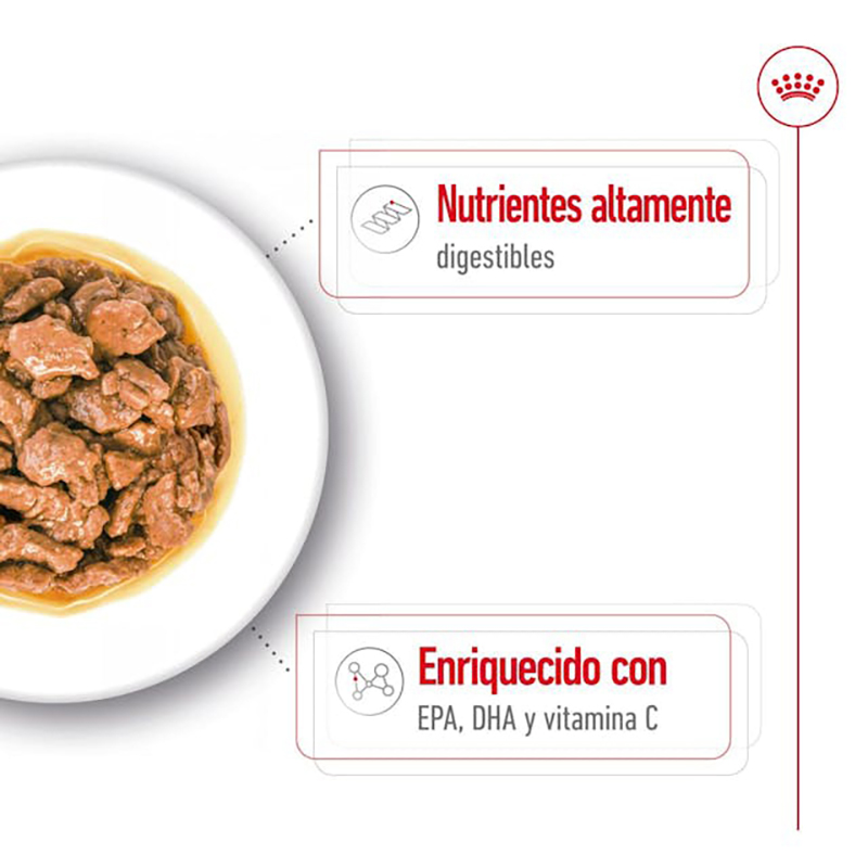 Royal Canin X Small Adult para perros, sobre de 85 g Royal Canin X Small Adult Para Perros, Sobre De 85 G - Imagen 6