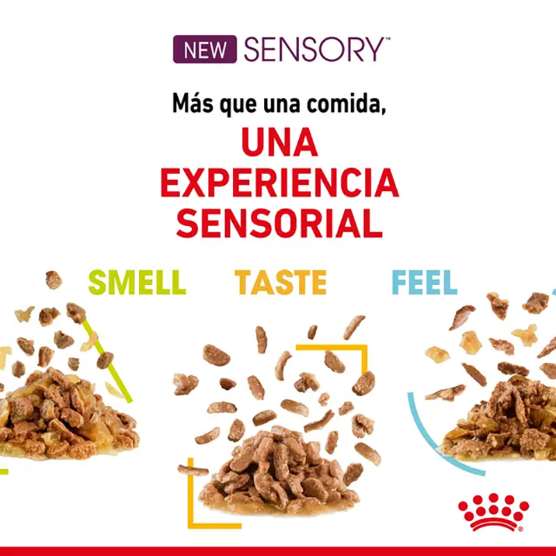 Royal Canin Sensory Taste Bocaditos en Salsa para gatos, sobre de 85 g Royal Canin Sensory Taste Bocaditos En Salsa Para Gatos, Sobre De 85 G - Imagen 3