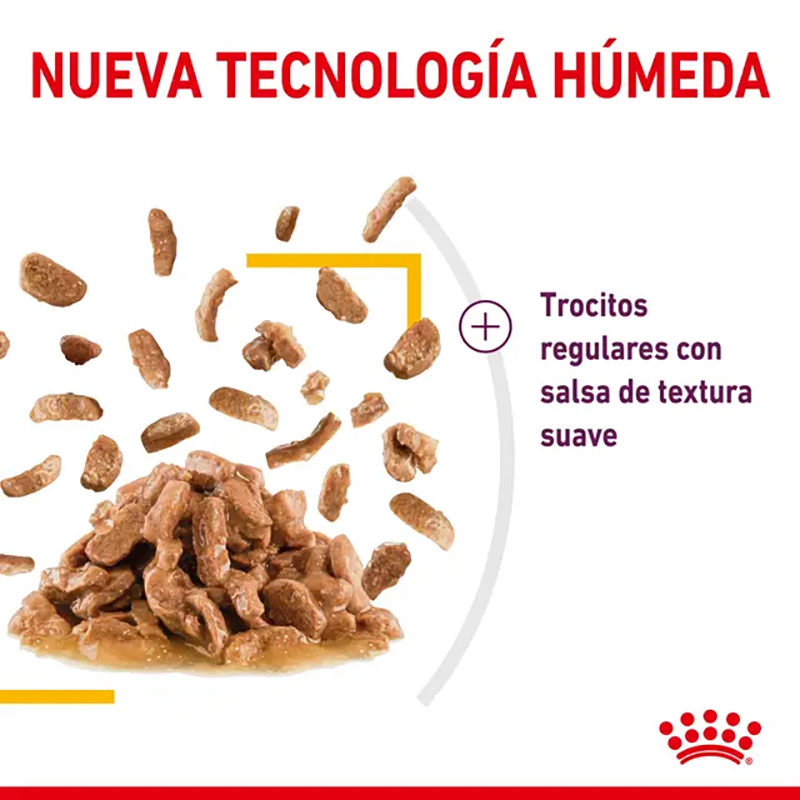 Royal Canin Sensory Taste Bocaditos en Salsa para gatos, sobre de 85 g Royal Canin Sensory Taste Bocaditos En Salsa Para Gatos, Sobre De 85 G - Imagen 6