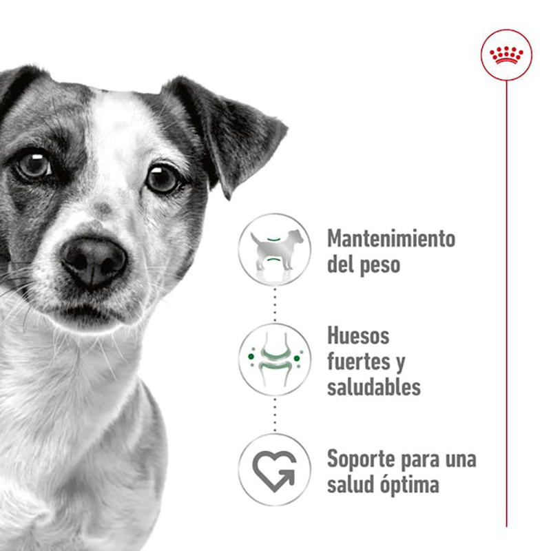 Royal Canin Mini Adult 2 kg Royal Canin Mini Adult 2 Kg - Imagen 3