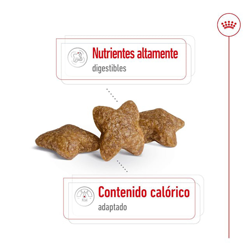 Royal Canin Mini Adult 2 kg Royal Canin Mini Adult 2 Kg - Imagen 4
