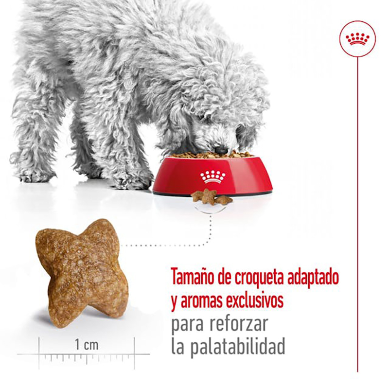 Royal Canin Mini Adult 2 kg Royal Canin Mini Adult 2 Kg - Imagen 5