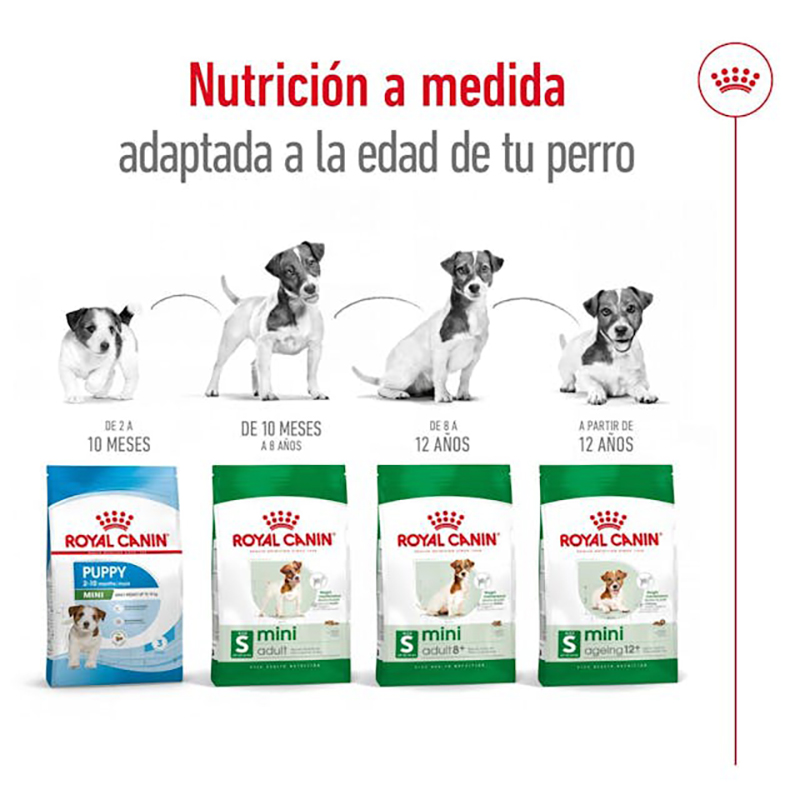 Royal Canin Mini Adult 2 kg Royal Canin Mini Adult 2 Kg - Imagen 6