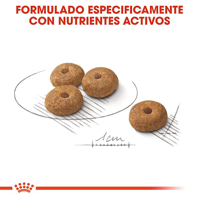 STERILISED MINI ADULT 3 KG ROYAL CANIN Sterilised Mini Adult 3 Kg Royal Canin - Imagen 8