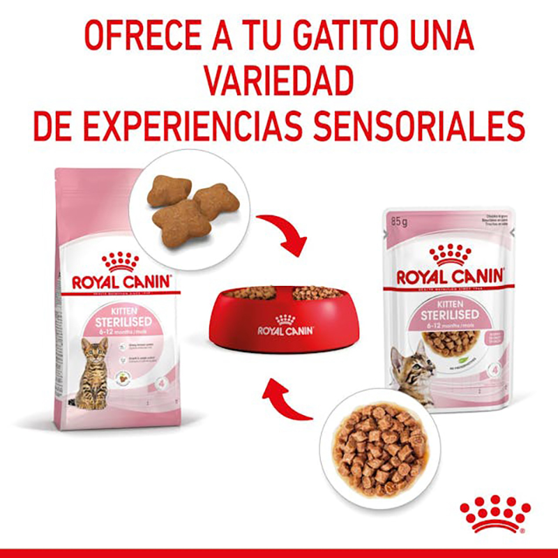 Royal Canin Kitten Sterilised para gatos, sobre de 85 g Royal Canin Kitten Sterilised Para Gatos, Sobre De 85 G - Imagen 6