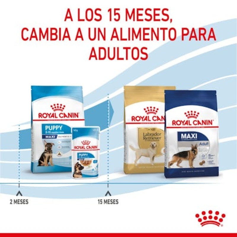 Royal Canin Maxi Puppy para perros, sobre de 140 g Royal Canin Maxi Puppy Para Perros, Sobre De 140 G - Imagen 7