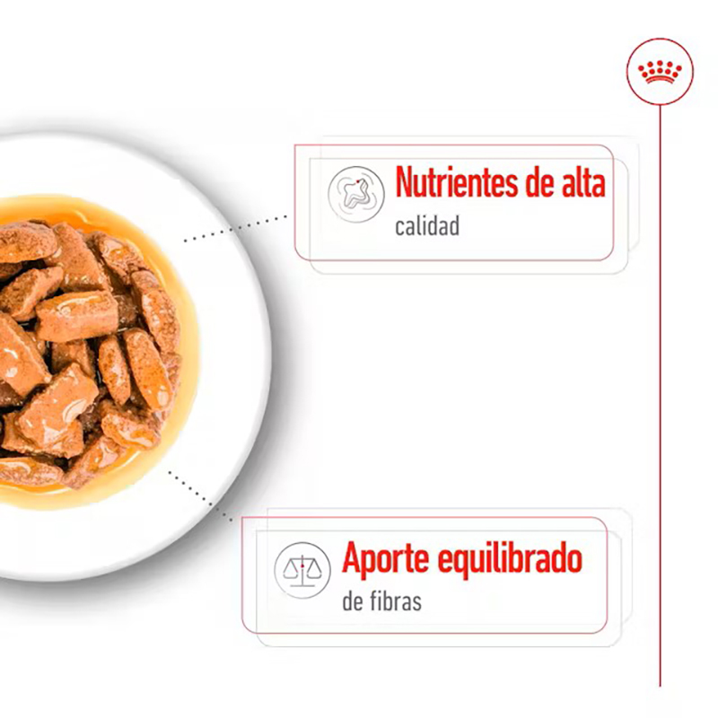 Royal Canin Maxi Adult para perros, sobre de 140 g Royal Canin Maxi Adult Para Perros, Sobre De 140 G - Imagen 5