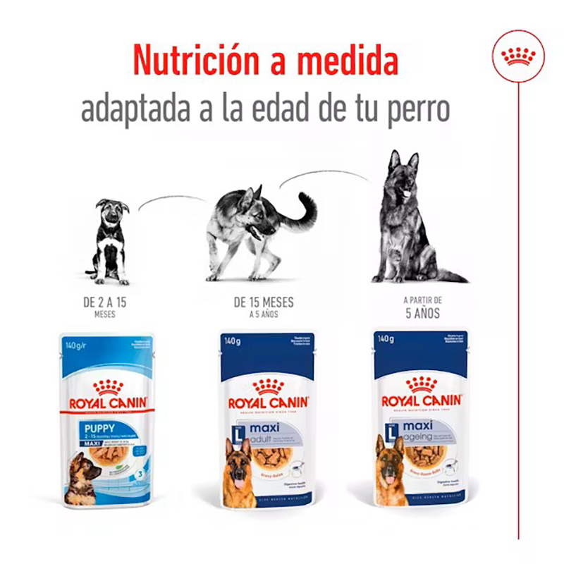 Royal Canin Maxi Adult para perros, sobre de 140 g Royal Canin Maxi Adult Para Perros, Sobre De 140 G - Imagen 6