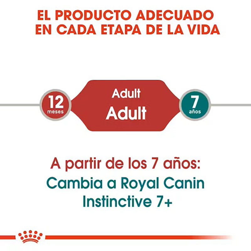 Royal Canin Instinctive en Salsa para gatos, sobre de 85 g Royal Canin Instinctive En Salsa Para Gatos, Sobre De 85 G - Imagen 3