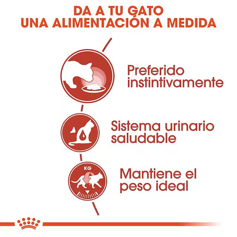 Royal Canin Instinctive en Salsa para gatos, sobre de 85 g Royal Canin Instinctive En Salsa Para Gatos, Sobre De 85 G - Imagen 5