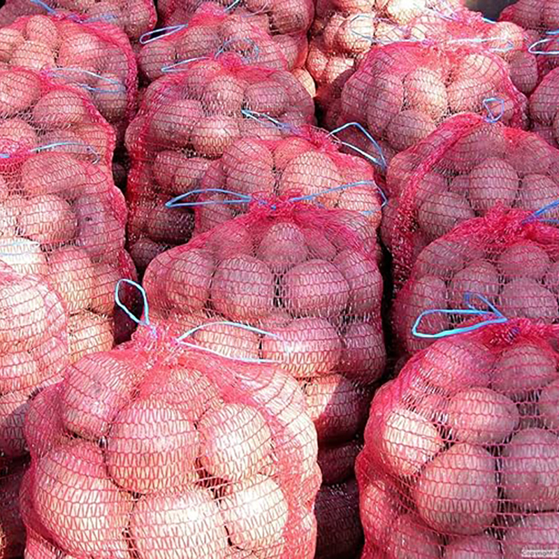 Saco de malla para naranjas de 5 kg con cierre, 100 unidades Saco De Malla Para Naranjas De 5 Kg Con Cierre, 100 Unidades - Imagen 3