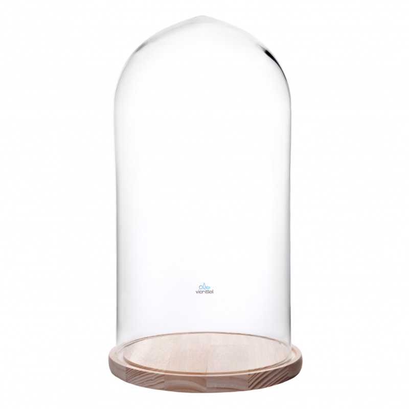 CÚPULA CON BASE DE MADERA 40 X 20 CMS TRANSPARENTE