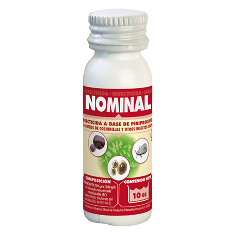 NOMINAL -JED- 10 CC Nominal -Jed- 10 Cc