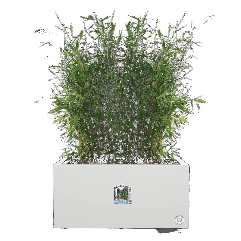 Jardinera Elho Vivo Next Long 80 cm, blanco Jardinera Elho Vivo Next Long 80 Cm, Blanco - Imagen 4