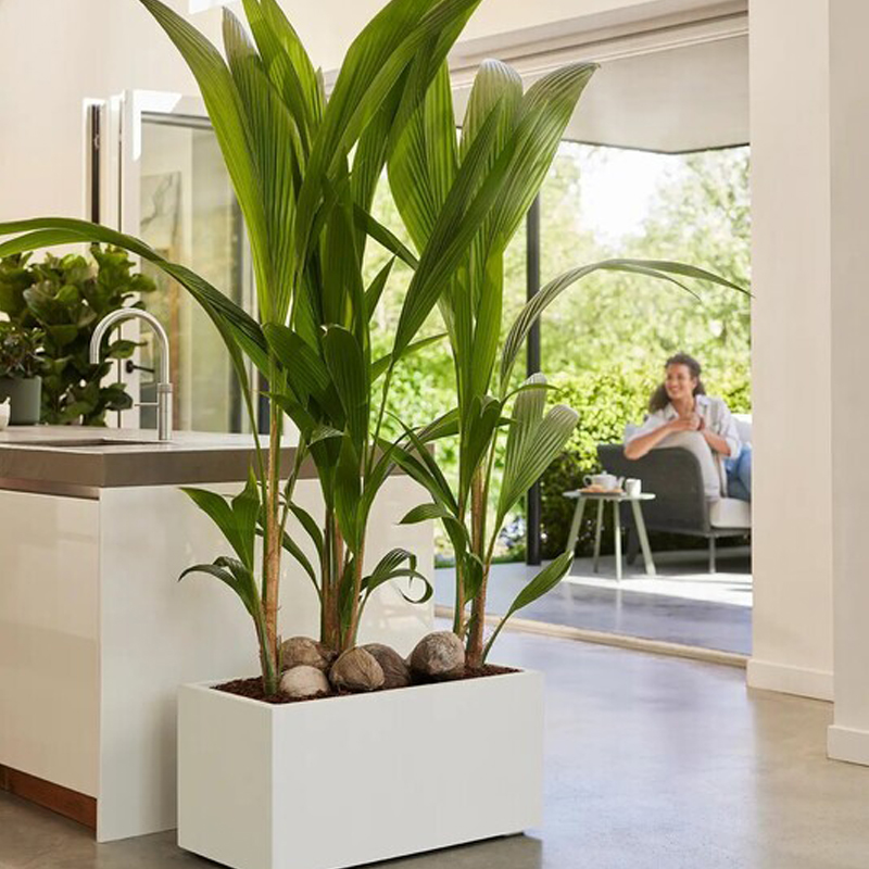 Jardinera Elho Vivo Next Long 80 cm, blanco Jardinera Elho Vivo Next Long 80 Cm, Blanco - Imagen 10
