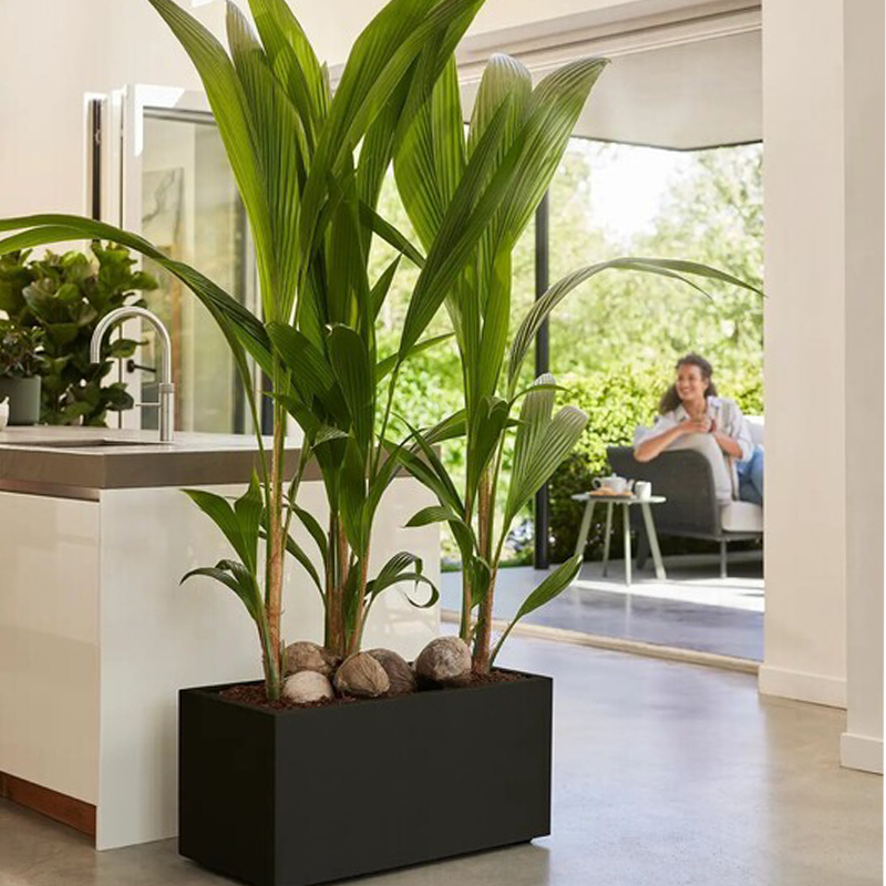 Jardinera Elho Vivo Next Long 80 cm, negro vivo Jardinera Elho Vivo Next Long 80 Cm, Negro Vivo - Imagen 10