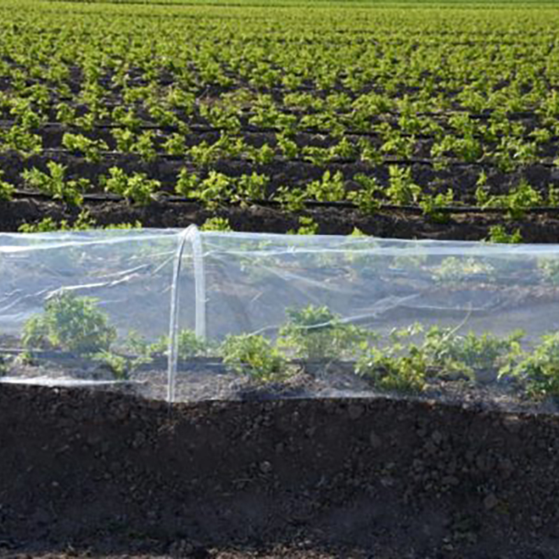 Túnel Invernadero Transparente con 7 Arcos 4 × 1,2 m – Cañizos Faura Túnel Invernadero Transparente Con 7 Arcos 4 × 1,2 M – Cañizos Faura - Imagen 2