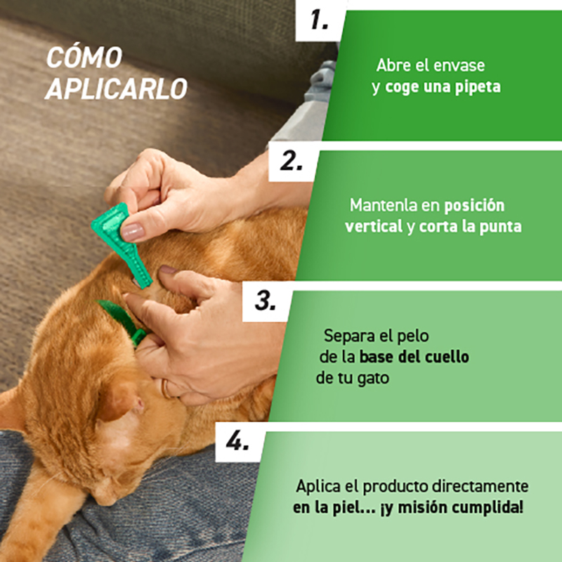 Frontline Combo para gatos y hurones, caja de 6 pipetas Frontline Combo Para Gatos Y Hurones, Caja De 6 Pipetas - Imagen 5