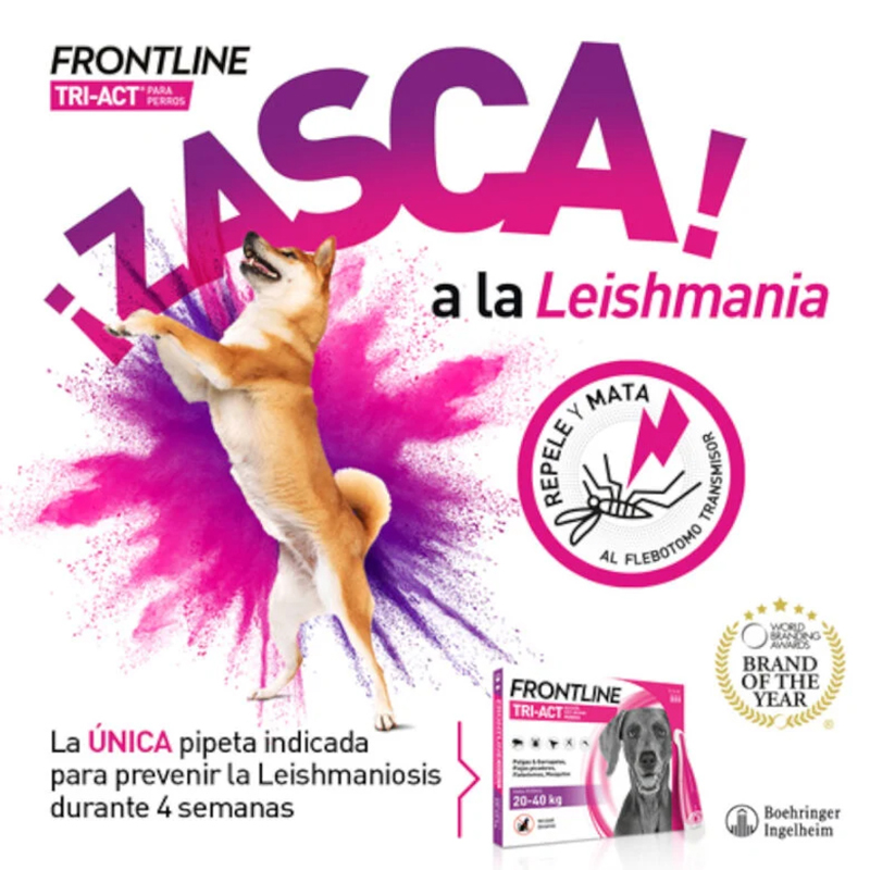 Frontline Tri-Act para perros de 2 a 5 kg, caja de 6 pipetas Frontline Tri-Act Para Perros De 2 A 5 Kg, Caja De 6 Pipetas - Imagen 6