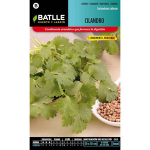 CILANTRO CORIANDRUM SATIVUM