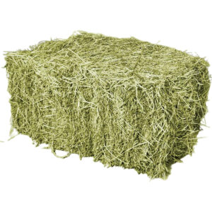 HENO EN PAQUETE / ALPACA 15 KG