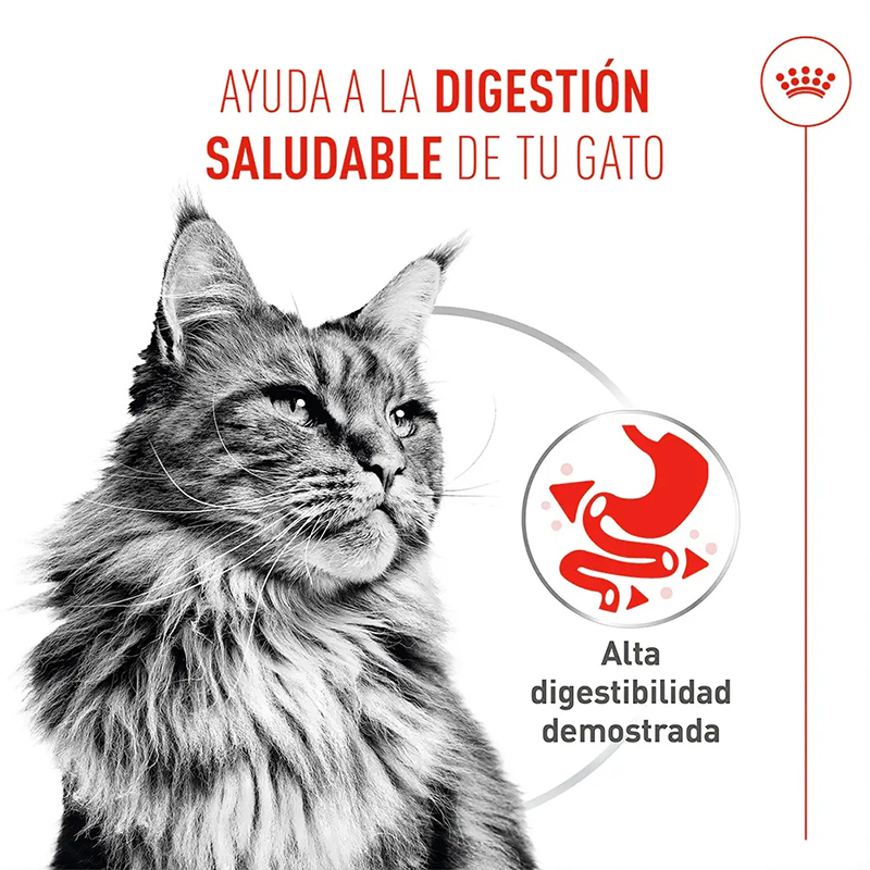 DIGESTIVE CARE MOUSSE 85 GR LATA Digestive Care Mousse 85 Gr Lata
