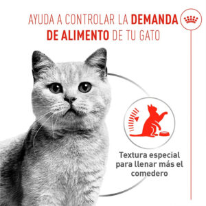APPETITE CONTROL MOUSSE 85 GR LATA