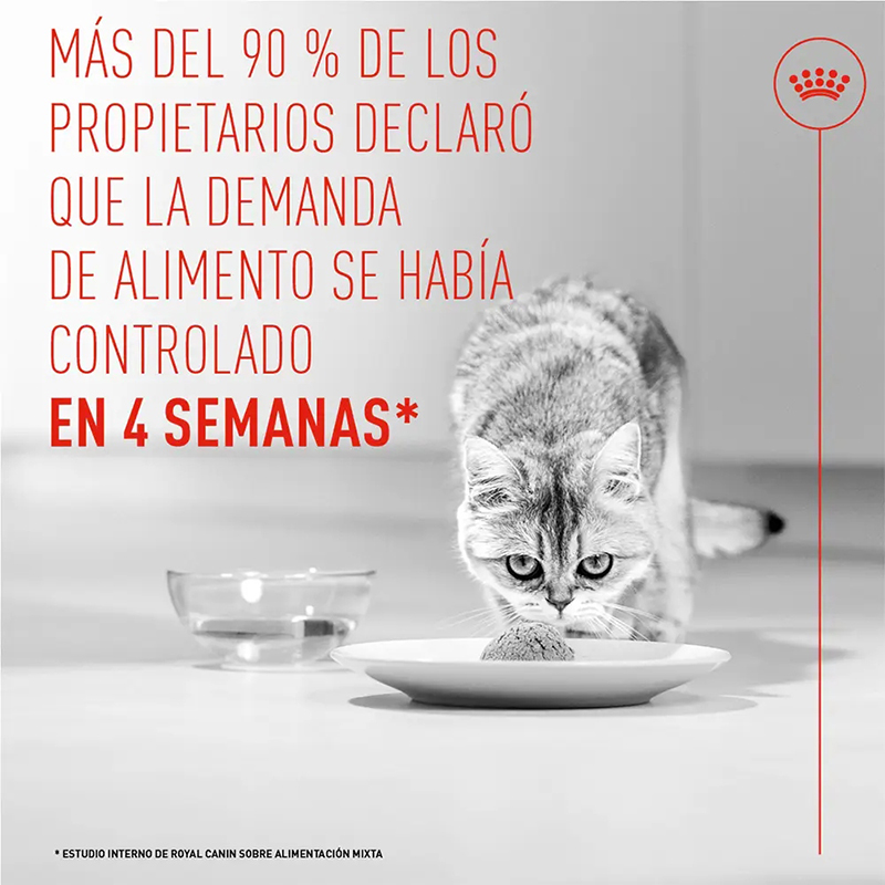 APPETITE CONTROL MOUSSE 85 GR LATA Appetite Control Mousse 85 Gr Lata