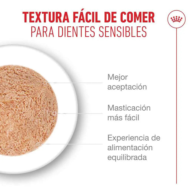 AGEING 15+ MOUSSE 85 GR LATA Ageing 15+ Mousse 85 Gr Lata